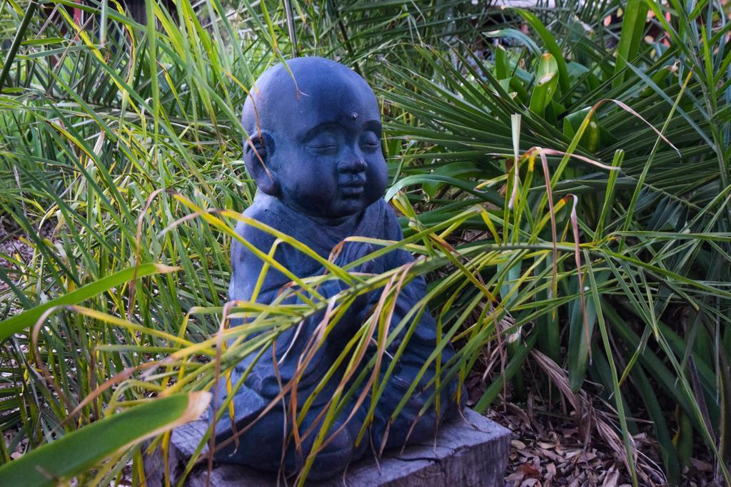 River Country Inn (Adults Only) モアマ エクステリア 写真